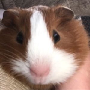 Meet your Posher, Aliyah